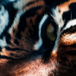 Screenshot 2025-09-25 204438